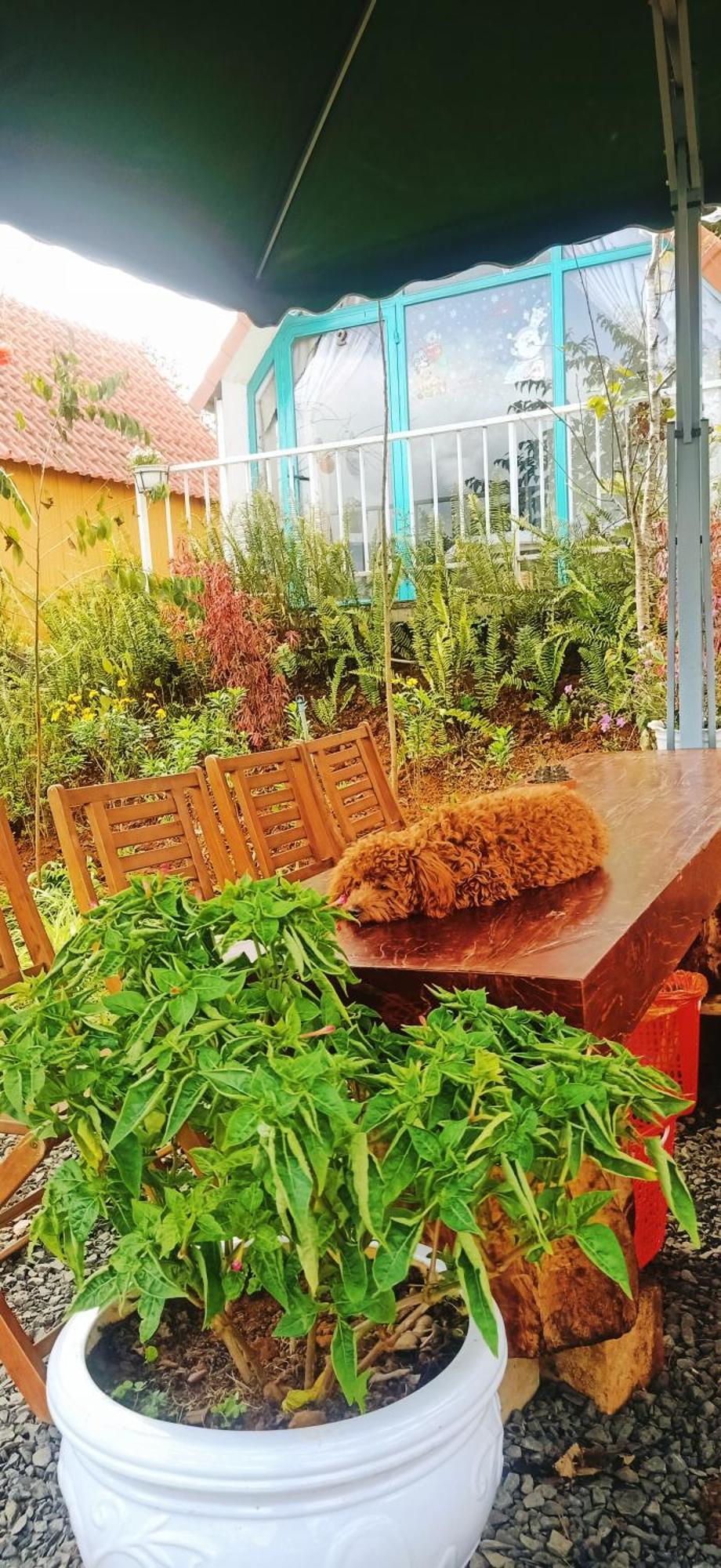 Paradiso Homestay Mangden Kon Von Kla Екстериор снимка