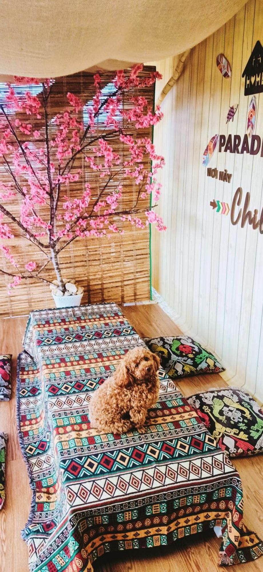 Paradiso Homestay Mangden Kon Von Kla Екстериор снимка